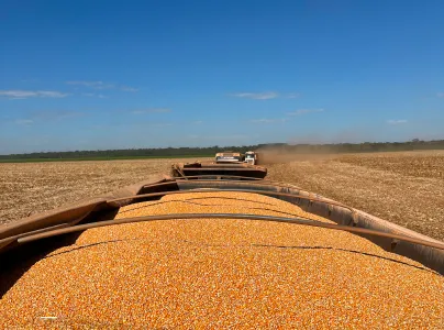 transporte fazenda potrich