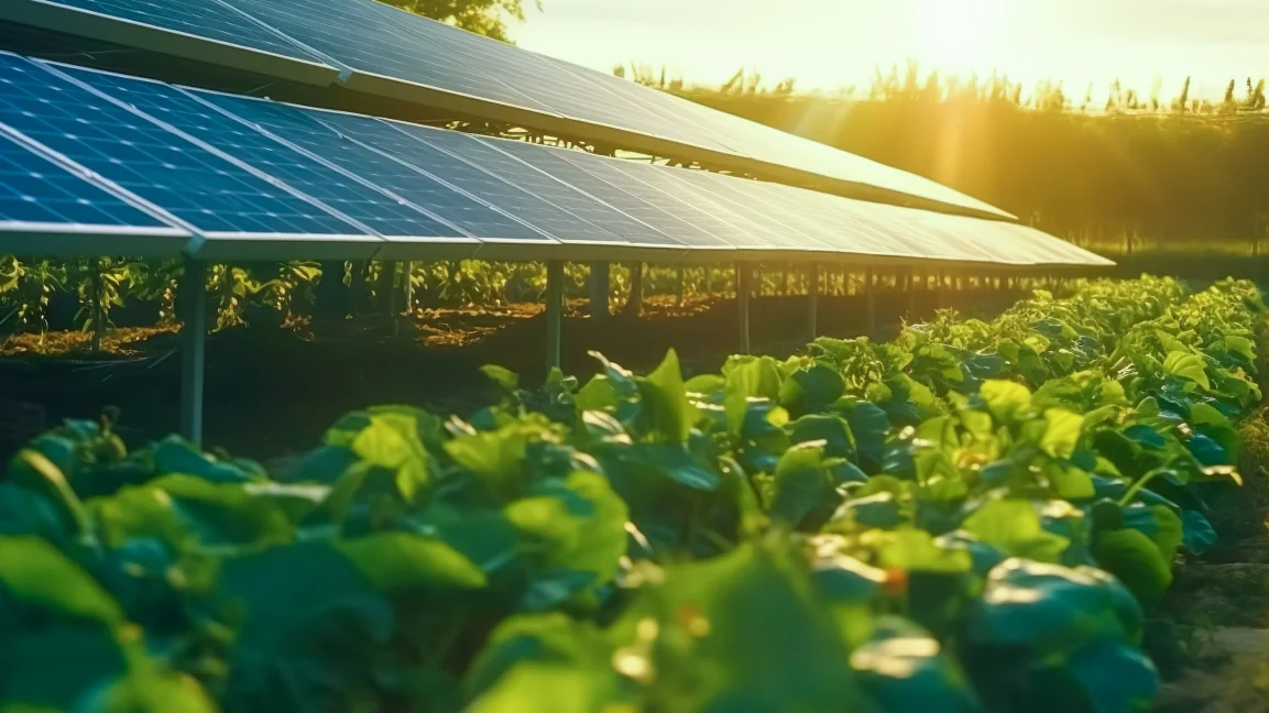 Tecnologia no agronegócio - Grupo Darci Potrich